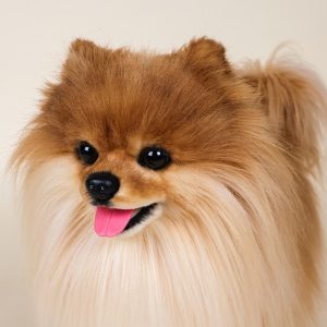Custom 2026 Realistic Yellow Pomeranian Plush Dog Toy, Companion Gift for Boys & Girls
