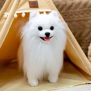 Realistic Pomeranian Plush Toy