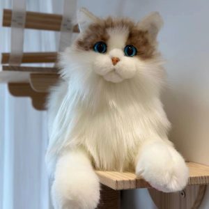 MetaCat（Ragdoll